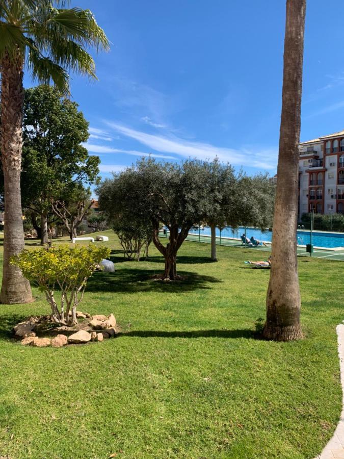 Studio With Terrace And Pool Torrevieja Exterior foto